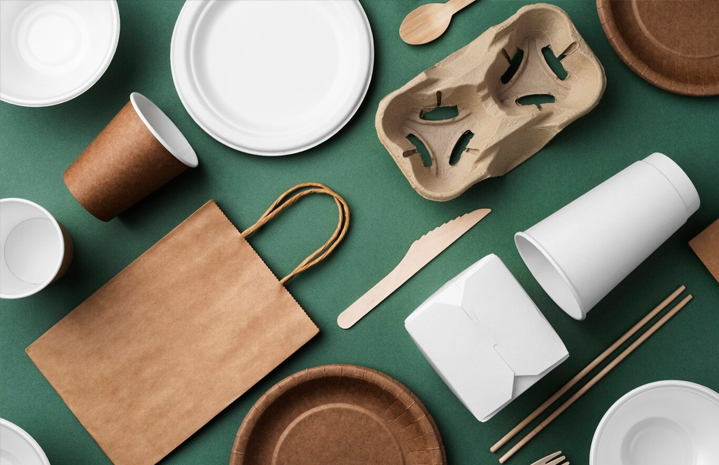 Tigela de papel para salada: guia para tipos, uso e compostagem