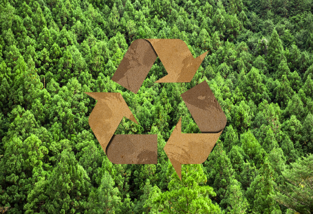 Guia FSC, EUDR e PEFC para aquisição de suprimentos descartáveis para catering