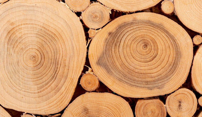 Produtos de embalagem Juxian Yongrui Co., Ltd.